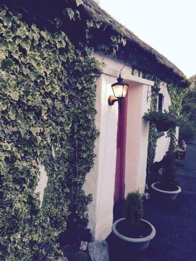 Teresas Cottage Donegal Town المظهر الخارجي الصورة