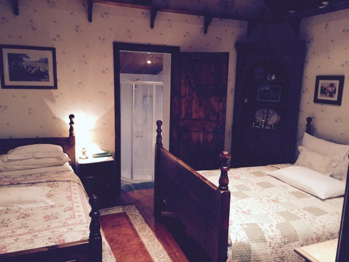 Teresas Cottage Donegal Town المظهر الخارجي الصورة