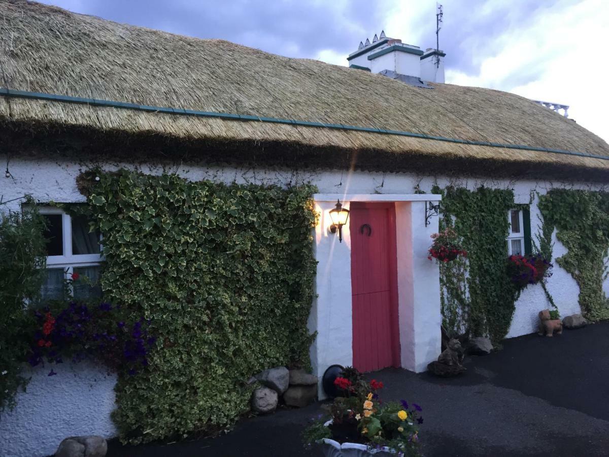 Teresas Cottage Donegal Town المظهر الخارجي الصورة